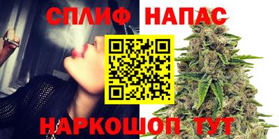 jwh Дубна