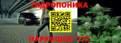 прущие грибы Донской