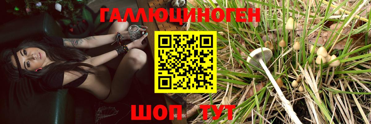Галлюциногенные грибы Cubensis  Вход с VPN  Псилоцибиновые грибы Psilocybe  Изобильный 