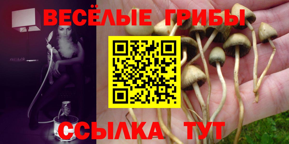 Галлюциногенные грибы прущие грибы Изобильный